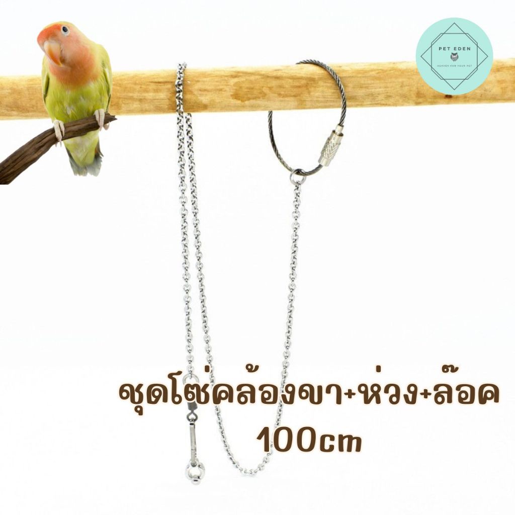 ชุดfโซ่คล้องขานก 100cm ห่วงเปิดขานก สร้อยข้อเท้าโซ่นก อุปกรณ์นก Bird นกแก้ว ฟอพัส หงส์หยก คอนัวร์ เลิฟเบิร์ด นกฟินซ์