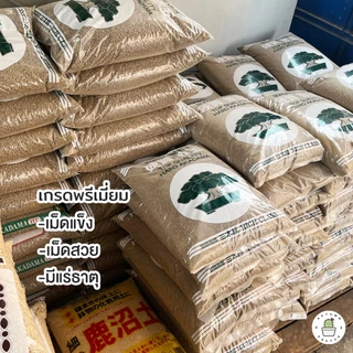 อะคาดามะ ดินญี่ปุ่น AKADAMA SOIL ใช้โรยหน้า กระบองเพชร ไม้อวบน้ำ บอนไซ 1-3mm 3-6mm 500g เกรดพรีเมี่ยม 3แถบ