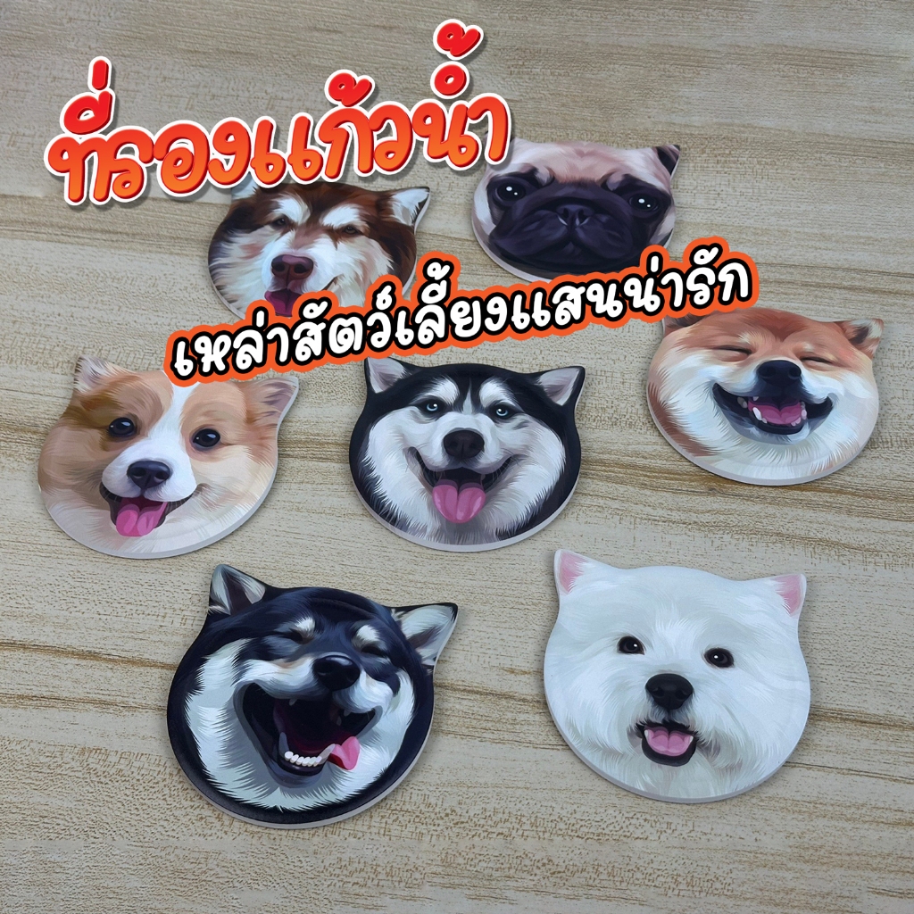 ที่รองแก้วซับน้ำ รูปแมว (diatomite แท้) ชุดใหม่ ทำจากแผ่นหินไดอะตอมไมที่มีคุณสมบัติดูดน้ำได้ดี