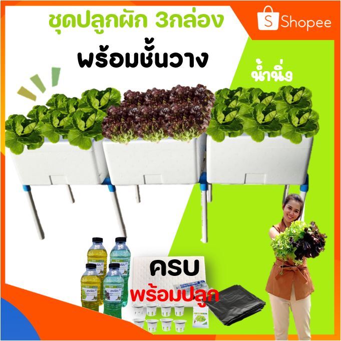 ชุดปลูกผักกล่องโฟมน้ำนิ่งแนวนอน 3กล่อง พร้อมโครง อุปกรณ์ครบชุดพร้อมปลูก