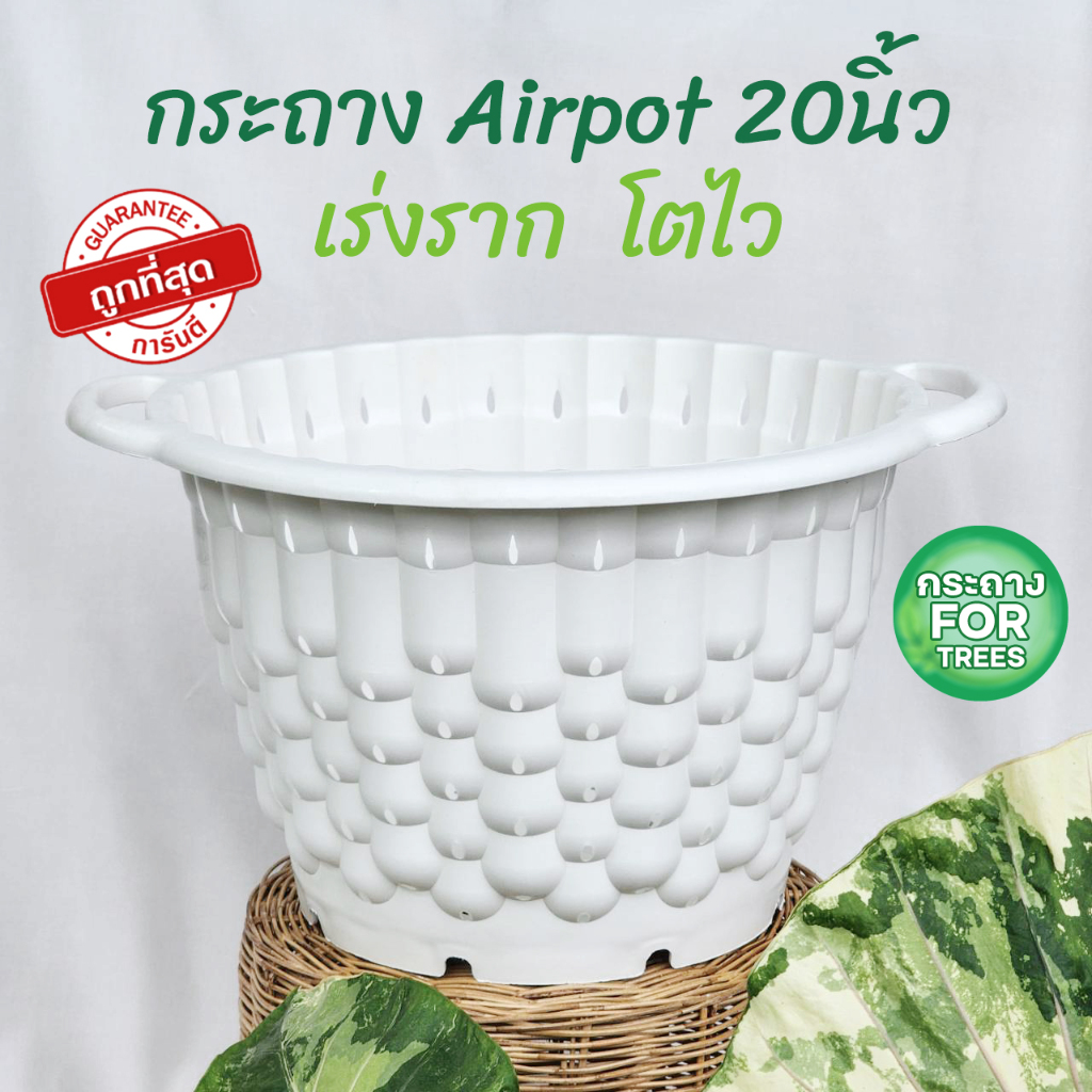 รุ่นใหม่ กระถางAirpot เร่งรากมีที่จับใบใหญ่ กระถาง air pot 20 นิ้ว 10 แกลลอน ขาว ดำ มีของพร้อมจัดส่ง