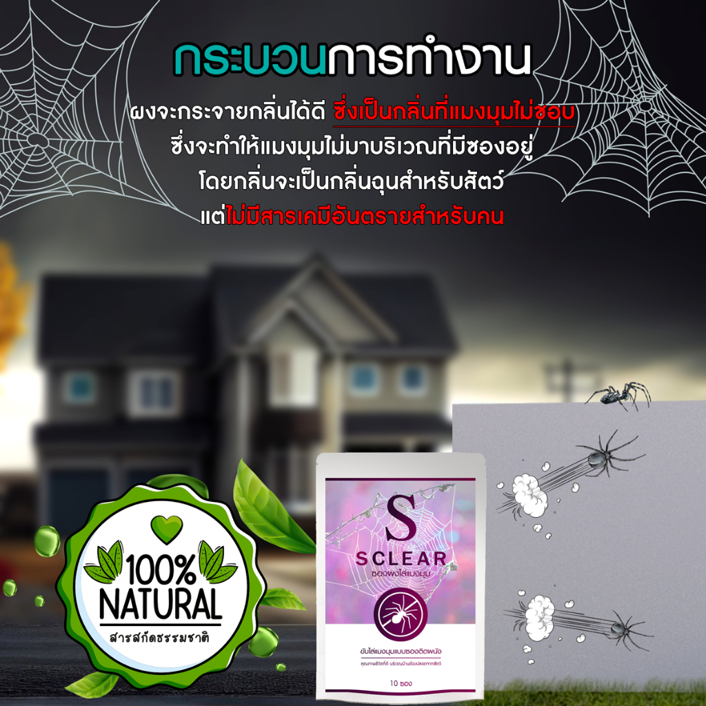 แมงมุม สเปรย์ไล่แมงมุม ที่ไล่แมงมุม ฟรี กาวติดผนัง (เก็บเงินปลายทาง ส่งไว) สูตรเข้มข้น - รูปที่ 2