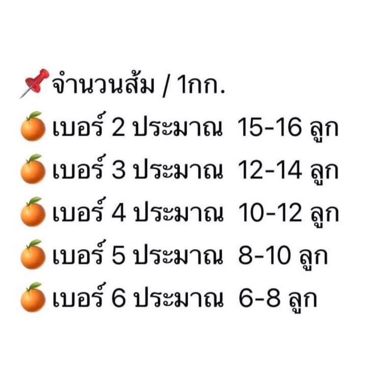 รูปภาพ 8