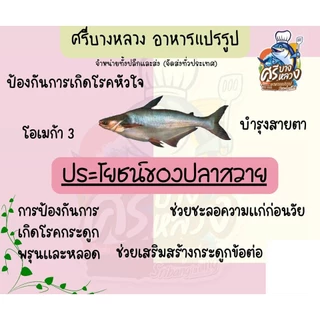 ปลาสวายแดดเดียว ไม่ใส่สีและไม่ใส่สาร