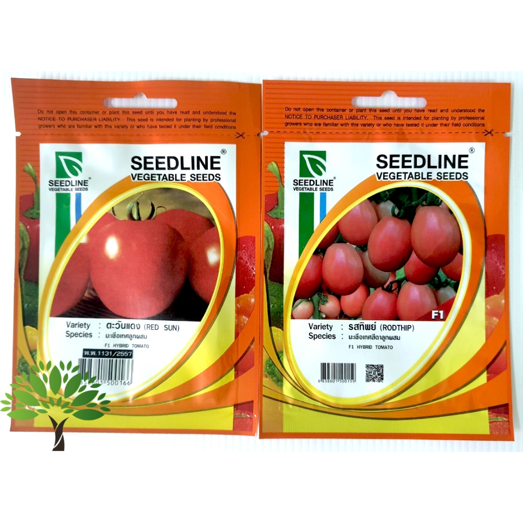 มะเขือเทศ (tomato seeds) มะเขือเทศเม็ด มะเขือเทศพุ่ม มะเขือเทศหวาน มะเขือเทศหัวใจ มะเขือเทศราชนี เมล็ดมะเขือเทศ เมล็ดผัก