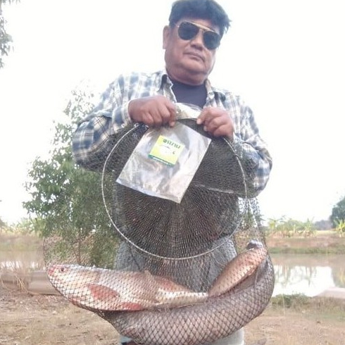 เหยื่อหมาน เหยื่อตกปลาหน้าดิน สูตรยี่สก/ปลาจีน หัวเชื้อเข้มข้น ชุด 2 ถุง (0.8กก.) - รูปที่ 6