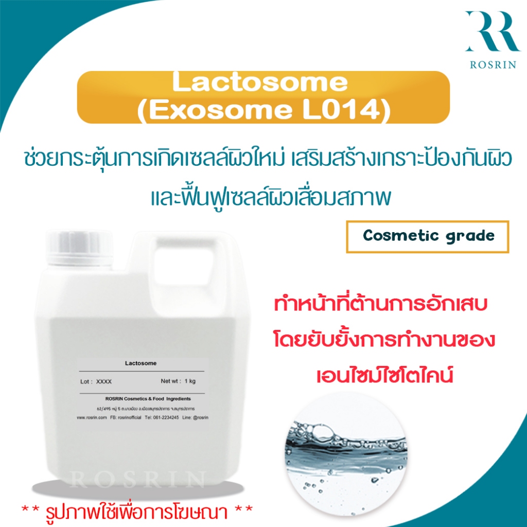 Lactosome (Exosome L014) - เทคโนโลยี EXOSOME ที่ได้จาก Lactobacillus กระตุ้นการเกิดเซลล์ผิวใหม่