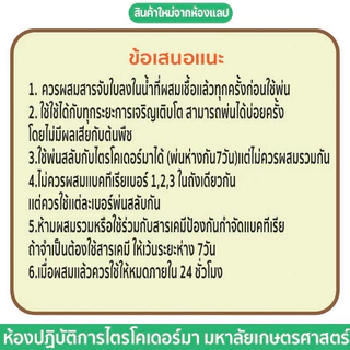 【 พร้อมส่ง 】 เเบคทีเรียบาซิลลัส BS(เบอร์1)ควบคุมโรคเหี่ยวจากแบคทีเรีย ม.เกษตร