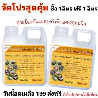 บิวเวอร์เรีย+เมธาไรเซียม 2 IN 1🪴