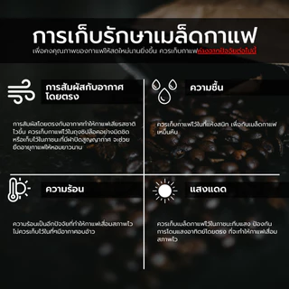 Baramio เมล็ดกาแฟคั่ว Brazil Cerrado 250-500g. (Arabica100%)Tastenote:Almond,Chocolate,Sweet,Balance (มีราคาส่ง 1-10 กก.
