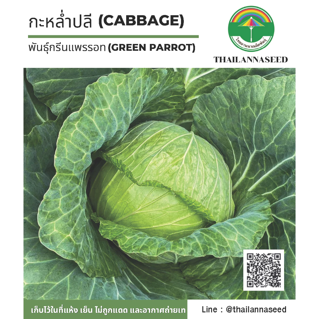 เมล็ดพันธุ์ผักสวนครัว กะหล่ำปลี พันธุ์กรีนแพรรอท ( ขนาด 1 กรัม ) รหัสสินค้า 6018