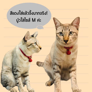 ปลอกคอน้องแมว ปลอกคอน้องหมา สไตล์มินิมอล สีน่ารักสดใส