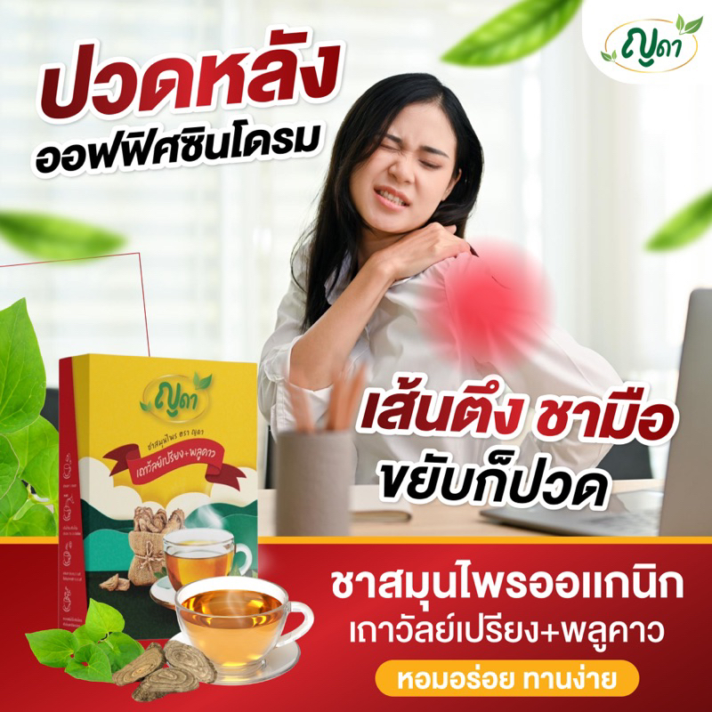ชาสมุนไพรบรรเทาปวด ชา ตึง ร้าว ชาเถาวัลย์เปรียง+พลูคาว ตราญดา