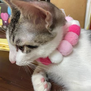 Petcho ปลอกคอแมว ปลอกคอแมว ปลอกคอหมา ปลอกคอน่ารัก ปอมปอมดอกไม้