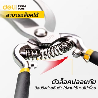 Deli กรรไกรตัดกิ่งไม้ กรรไกรตัดกิ่ง กรรไกรทำสวน 8 นิ้ว ใบมีดคม มีสปริงคืนตัว ทนทาน Pruning Shears