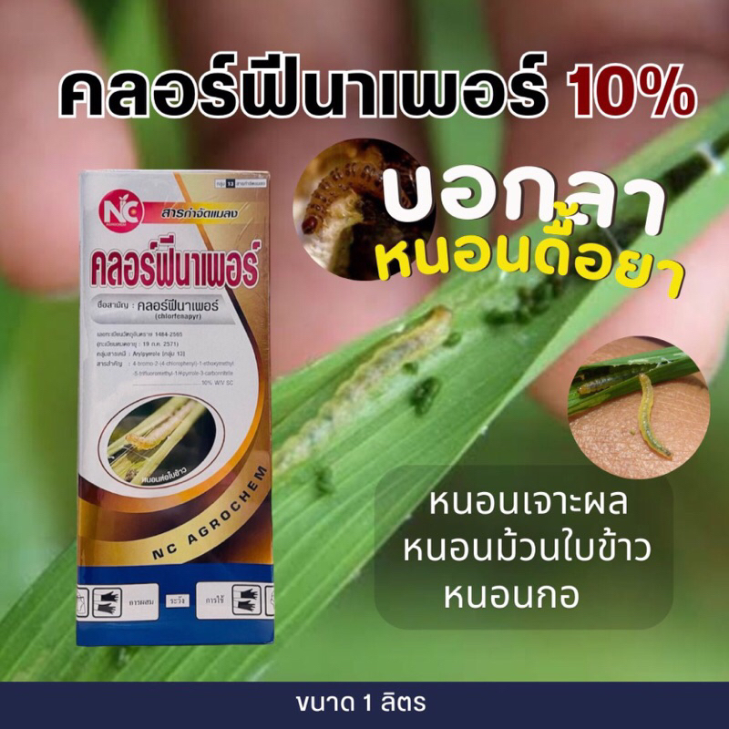 คลอร์ฟีนาเพอร์ -1ลิตร (คลอฟีนาเพอร์10%SC) #แรมเพจ สูตรเย็น กำจัดหนอนเจาะ หนอนกอ หนอนม้วนใบข้าว