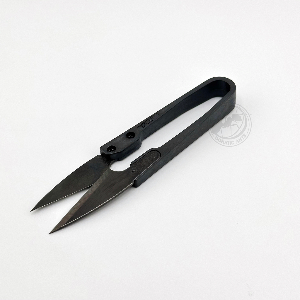 รูปภาพ 2