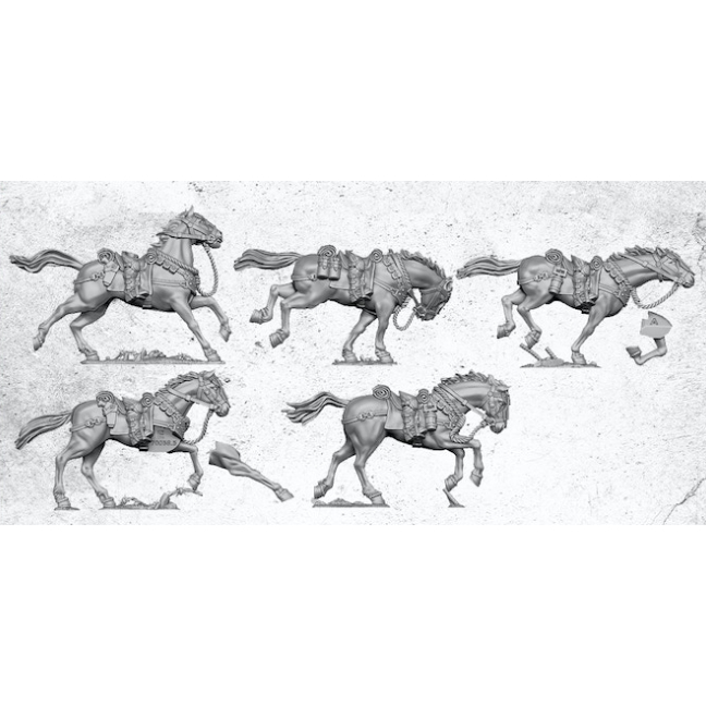 Raiders horses  part