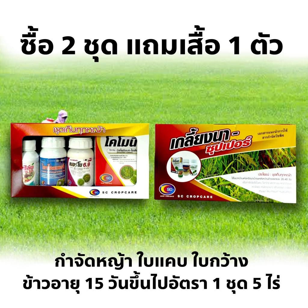 เกลี้ยงนา-ซุปเปอร์ หญ้าดอกขาว หญ้าข้าวนก หญ้าแดง