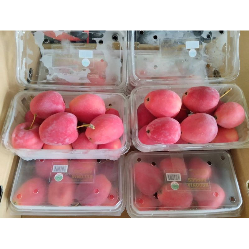 แอปเปิ้ลกาล่า  แอปเปิ้ลแคระ (ไซส์150) กรอบ อร่อย  นำเข้าจากอเมริกา ราคา ถูกที่สุด ดีลบีเคเค แกลเลอรีภาพที่ 8