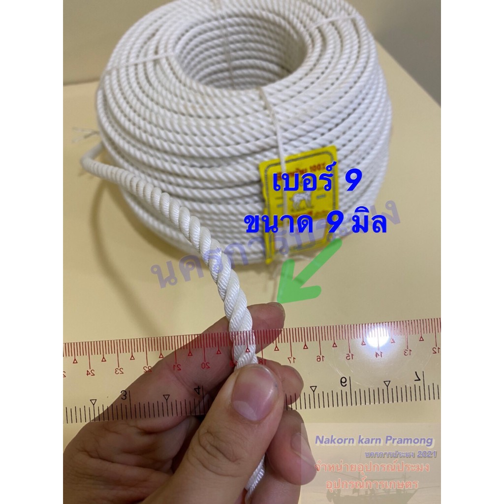 เชือกคูลีล่อน หรือเชือกร่มแข็งใช้ผูกวัว ตรากวาง เกรด A  สีขาว จำหน่ายเป็นเมตร มีหลายขนาดให้เลือก - รูปที่ 6