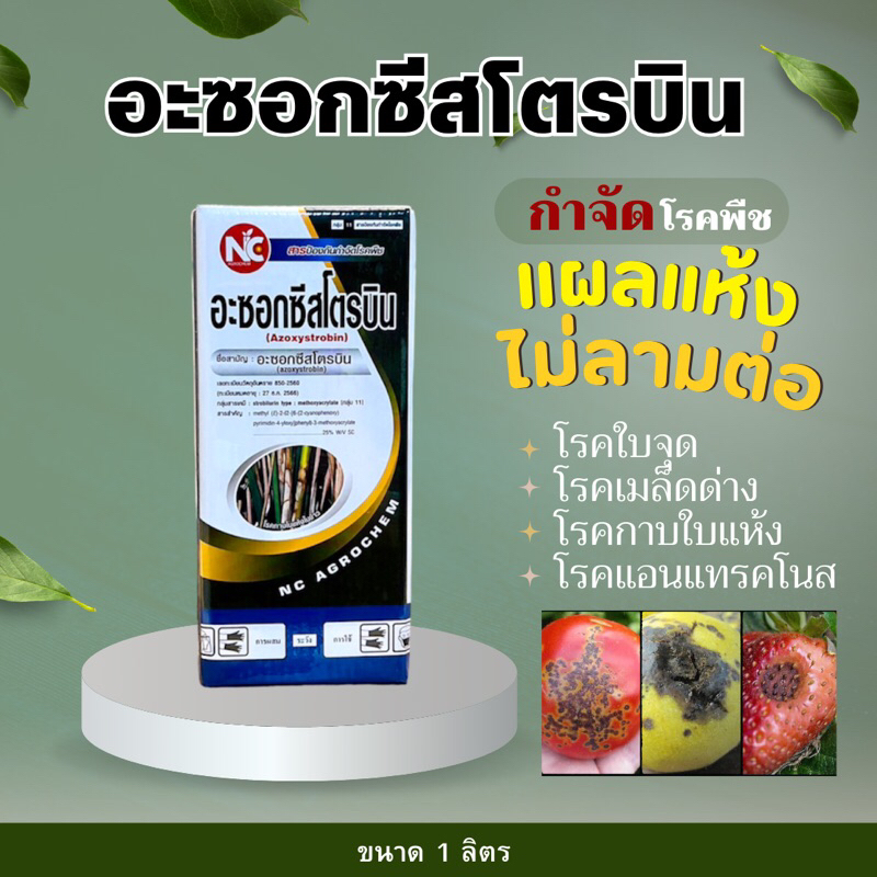 อะซอกซีสโตรบิน สารเดียวกับอมิสตา #อมิสตา -1 ลิตร