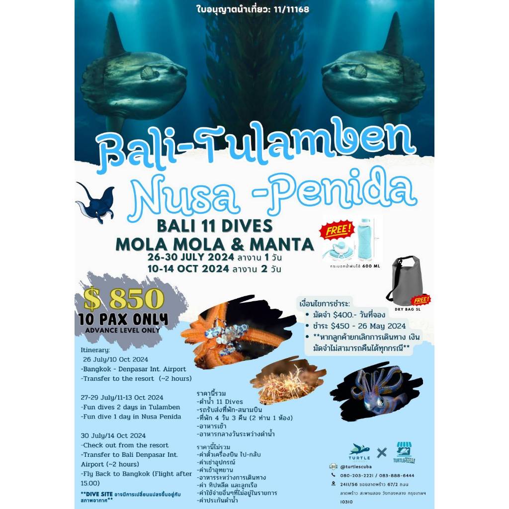 แพ็คเกจดำน้ำ Scuba package trip indonesia 26-30 July 2024 อินโดนีเซีย 11ไดฟ์ สกูบ้า บาลี ดูตัวเล็กที