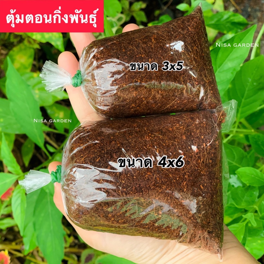 Nisa Garden ตุ้มตอนกิ่ง🔥10 ฟรี 1‼️ขุยมะพร้าวผสมน้ำยาเร่งราก