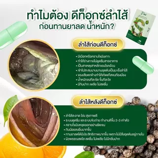 D’ne ดีเน่ ดีท็อกซ์สูตรใหม่ x 2 รีบูทของเสีย ปรับระบบขับถ่าย 1 กล่องมี 10 แคปซูล