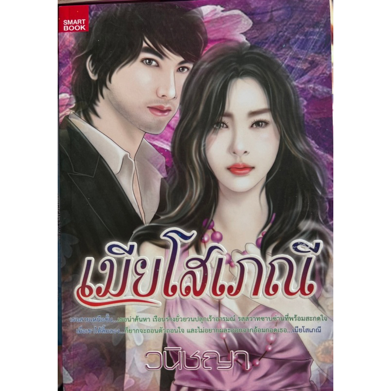 เมียโสเภณีเขียนโดยวนิชญา