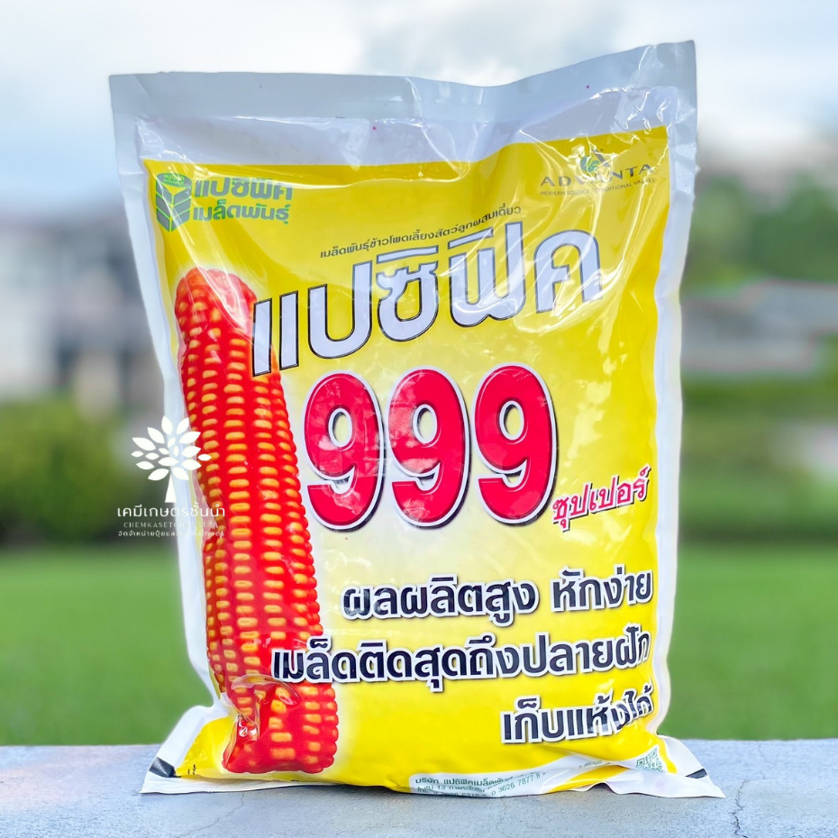 เมล็ดพันธุ์ข้าวโพดแปซิฟิค 999 (3.5 หุน)  5 กิโลกรัม ✅ สินค้าผลิตใหม่  ของแท้แน่นอน 💯