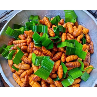 หนอนไหม ดักแด้ไหม 500g. 🐛🔥 หนอนไหมสด หนอนไหมทอดกรอบ 🚛เหมาค่าส่ง ฟรีกล่องโฟม!! ทุกจังหวัดทั่วไทย🎉
