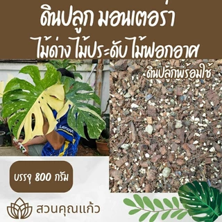 ดินปลูกต้นไม้ มอนสเตอร่า ไม้ด่างสวยงามทุกสายพันธุ์