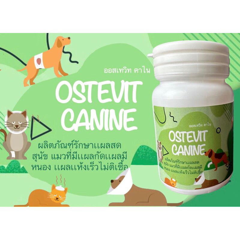 Ostevit canineผลิตภัณฑ์สัตว์เลื้ยงสุนัขเเมวเเผลกัด เเผลสด เเผลมีหนอง เเผลเเห้งเร็ว