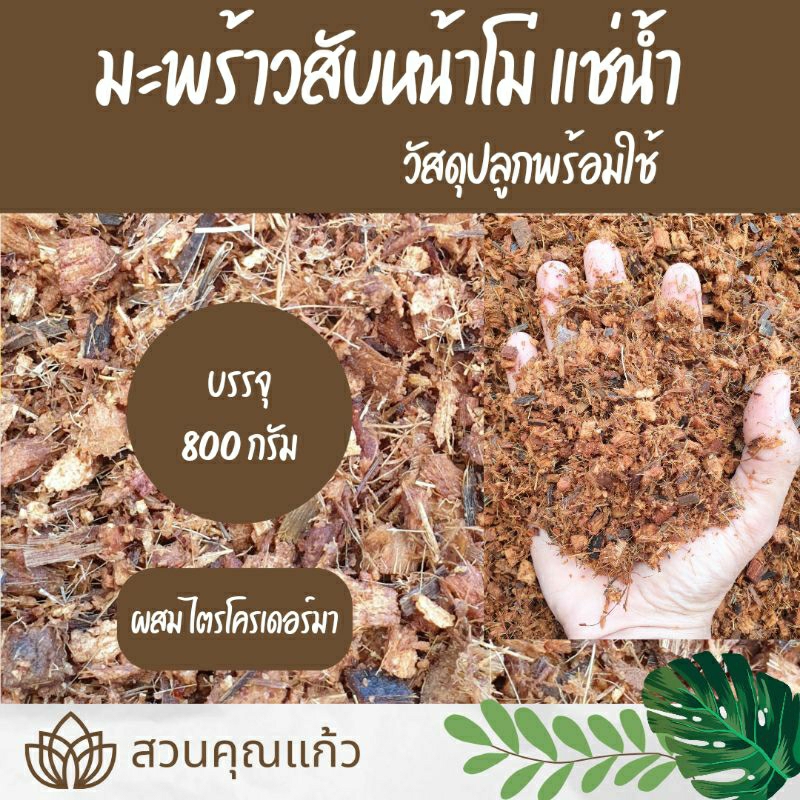 มะพร้าวสับหน้าโม่แช่น้ำ ใช้คุมหน้าดินและผสมวัสดุปลูก พร้อมใช้