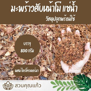 มะพร้าวสับหน้าโม่แช่น้ำ ใช้คุมหน้าดินและผสมวัสดุปลูก พร้อมใช…