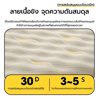 TANLOOK ที่นอนเป่าลม 5CM/8CMที่นอนพองลมอัตโนมัติ หมอน อัพเกรดใหม่ ที่นอนพกพา ใช้ได้กับ แคมป์ปิ้ง ท่องเที่ยว บ้าน ฯลฯ