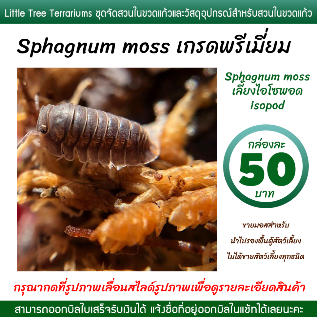 สแฟ็กนั่มมอส มอสเลี้ยงแมลง ไอซพอด Vivarium Exotic pet เกรดเอ กล่องละ 50 บาท