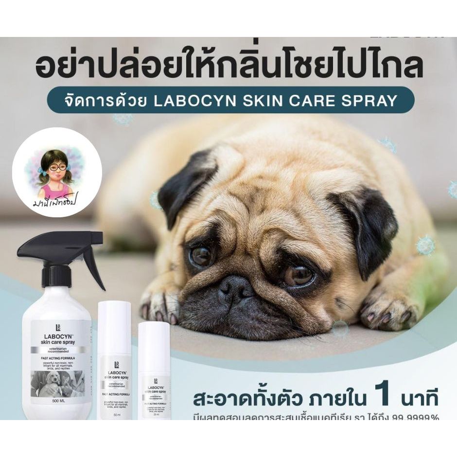 Labocyn Spray Skin Care **ฆ่าเชื้อ99.99% สเปรย์พ่นดูแลผิวหนัง เชื้อรา ยีสต์ สัตว์เลี้ยง อ่อนโยน (25 ml / 50 ml)