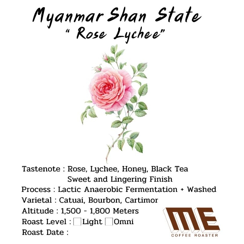 เมล็ดกาแฟ Myanmar Shan State "Rose Lychee" หอมกุหลาบมาก 🌹