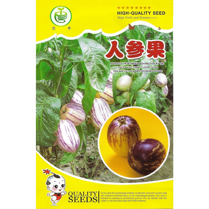 เมล็ด เปปิโน เมล่อน (Pepino Melon) / มะเขือหวาน 35 เมล็ด ผลไม้เพื่อสุขภาพ