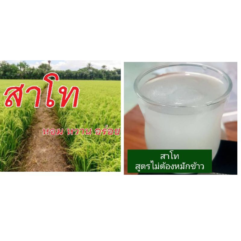 สาโท แป้งสาโท ผงสาโท สูตรไม่ใช้ข้าว(30-40 กรัม) 1ซองต่อน้ำ 5 ลิตร