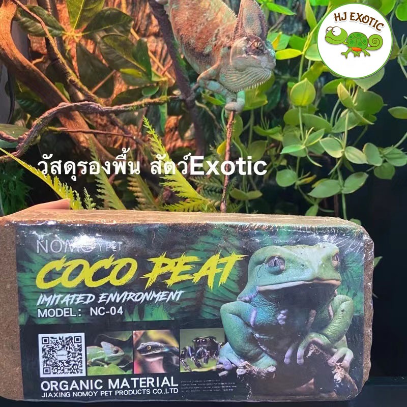 Nomoy pet วัสดุปูรองพื้นสัตว์Exotic กิ้งก่าคาเมเลี่ยน เต่า กบ