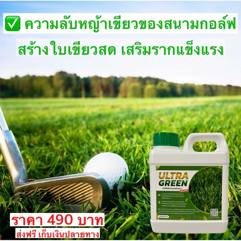 หัวเชื้อปุ๋ยบำรุงหญ้าสนาม