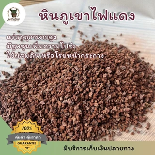 หินภูเขาไฟลาวา โรยหน้ากระถาง ผสมดินปลูกแคคตัส ไม้อวบน้ำ บอนไซ มีทั้งสีดำและสีแดง