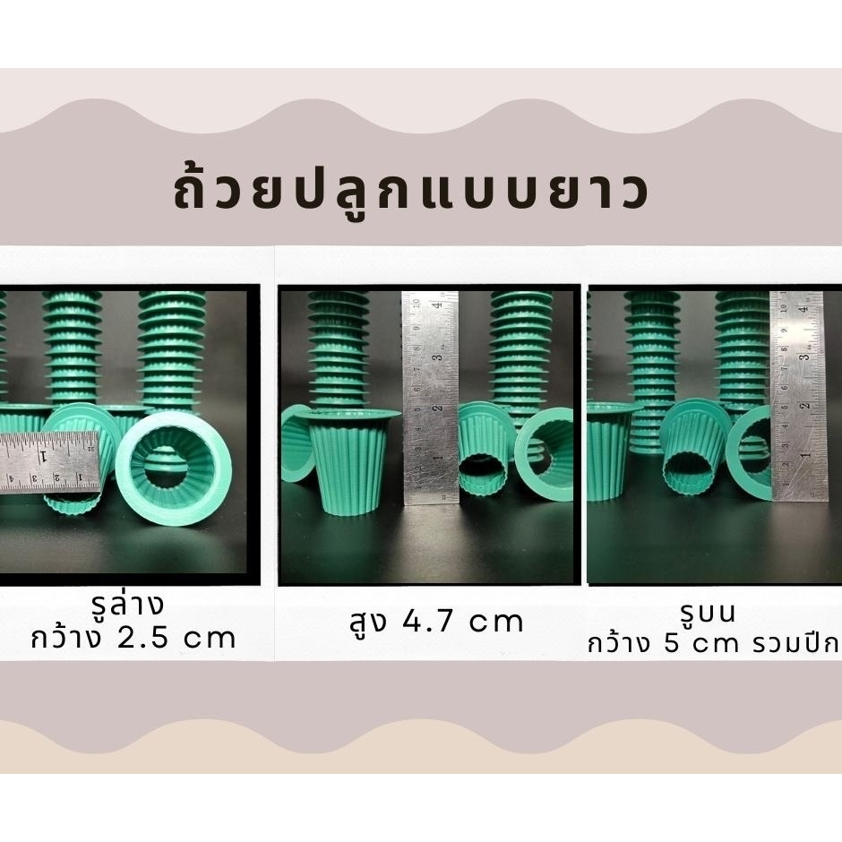 ถ้วยปลูกมาใหม่ ชุด 100 ใบ ถ้วยผักไฮโดรโปนิกส์ แบบใหม่ ปลูกน้ำนิ่งแบบใช้ซ้ำ ปลูกน้ำวนแบบก้นลึก