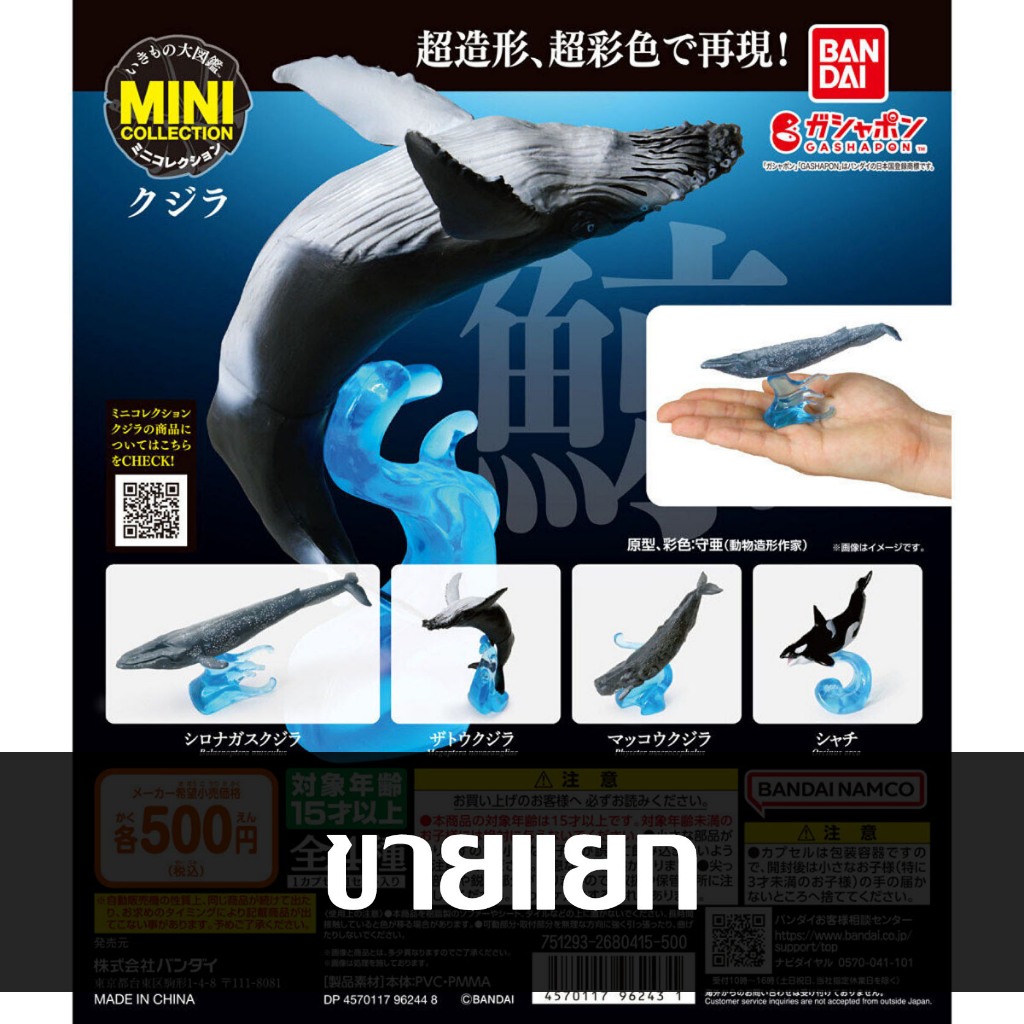 ขายแยก Bandai The Diversity of Life on Earth Mini Collection Whale Gashapon ปลาวาฬ กาชาปอง Ikimono Whales Orca