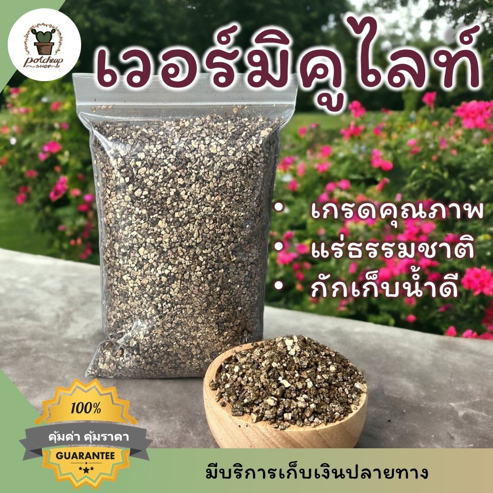 เวอร์มิคูไลท์ เกรดนำเข้า วัสดุปลูกแคคตัส ไม้อวบน้ำ พีทมอส เพอร์ไลท์ Vermiculite เพิ่มความชื้นในดิน ผสมดินปลูก