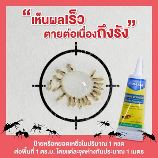 Quantum เจลกำจัดมด ควอนตั้ม 12 กรัม