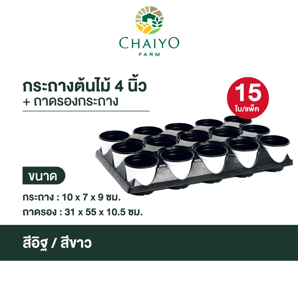 กระถางต้นไม้ (15ใบ)+ถาดรองกระถาง 4 นิ้ว (Pot 100 mm(15 pcs) + Pot pallet)